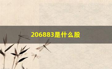 “206883是什么股票